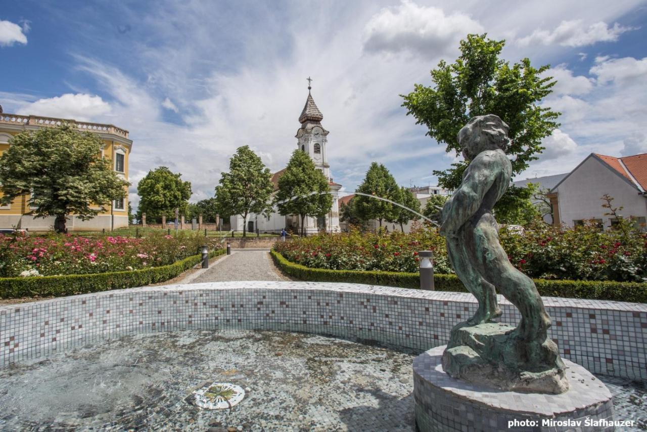 Bed and breakfast Vila Rosa Vukovar Extérieur photo