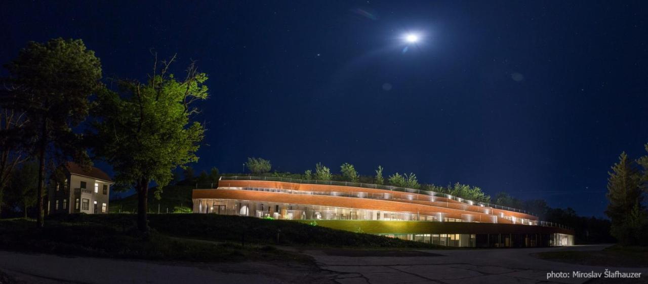 Bed and breakfast Vila Rosa Vukovar Extérieur photo